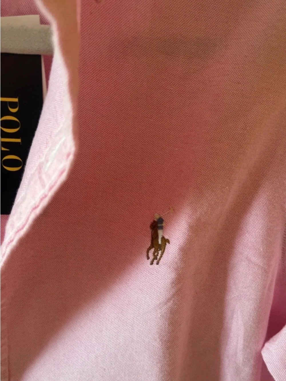 Polo by Ralph Lauren Light Pink Long-Sleeve Button-Down Shirt